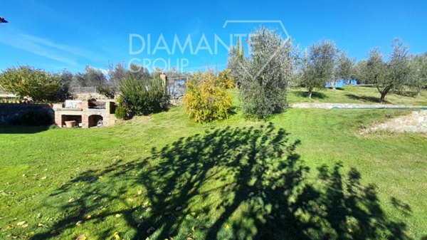 azienda agricola in vendita ad Arezzo