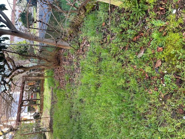 casa indipendente in vendita ad Arezzo in zona Pratantico-Indicatore