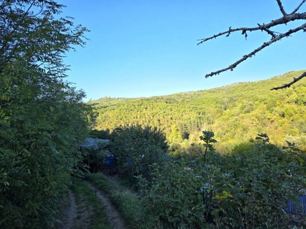 casa indipendente in vendita ad Arezzo in zona Gragnone