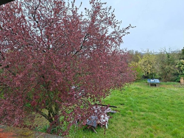 casa indipendente in vendita ad Arezzo in zona Santa Firmina