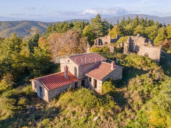 casa indipendente in vendita ad Arezzo in zona Santa Maria alla Rassinata