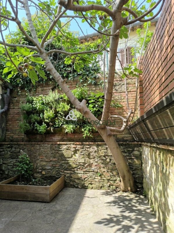 casa indipendente in vendita ad Arezzo in zona Centro Città
