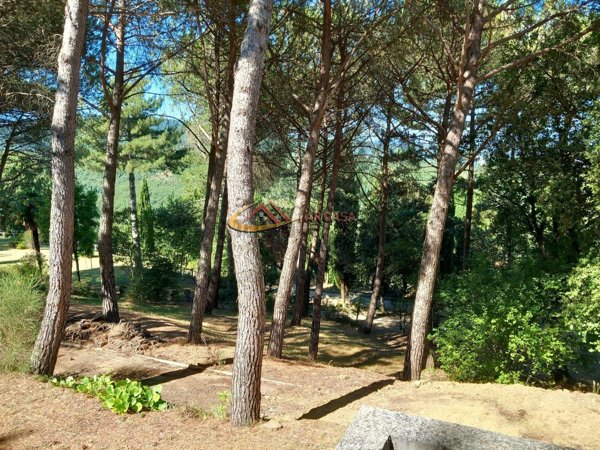 casa indipendente in vendita ad Arezzo in zona Staggiano