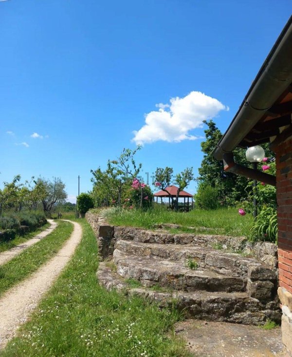 pentavano in vendita ad Arezzo in zona Ceciliano