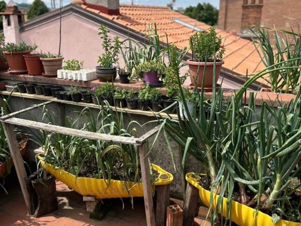 appartamento in vendita ad Arezzo