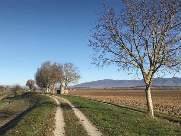appartamento in vendita ad Arezzo