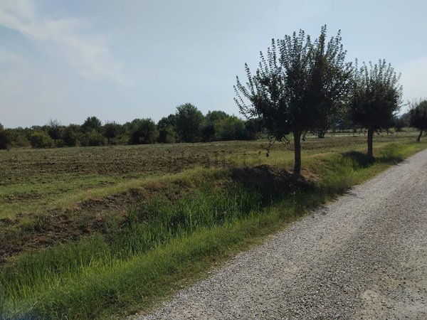terreno agricolo in vendita ad Arezzo in zona Pratantico-Indicatore