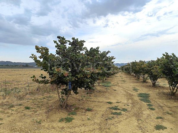 terreno agricolo in vendita ad Arezzo in zona Mugliano