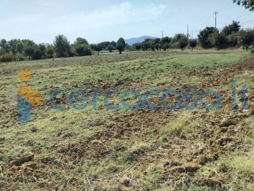 terreno agricolo in vendita ad Arezzo in zona Pratantico-Indicatore