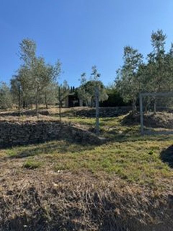 terreno in vendita ad Arezzo in zona Il Matto