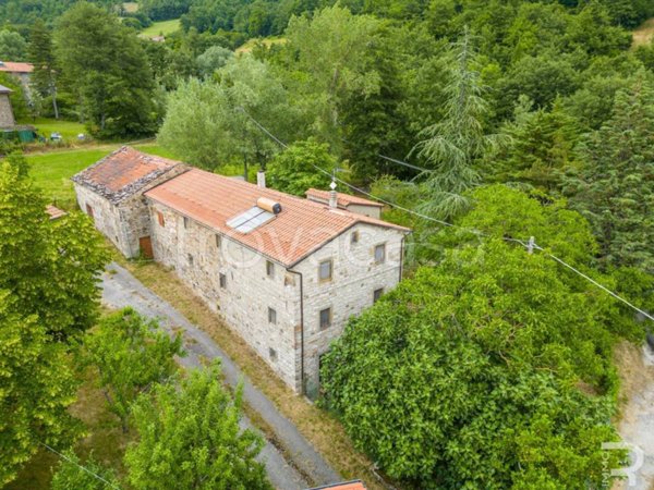 casa indipendente in vendita a Badia Tedalda in zona Rofelle