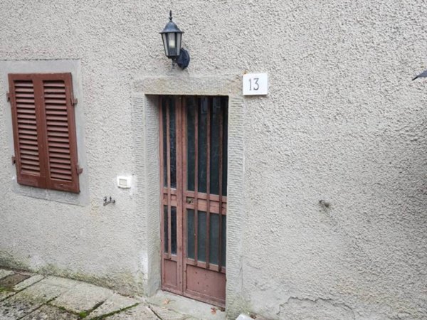 casa indipendente in vendita a Bibbiena in zona Banzena