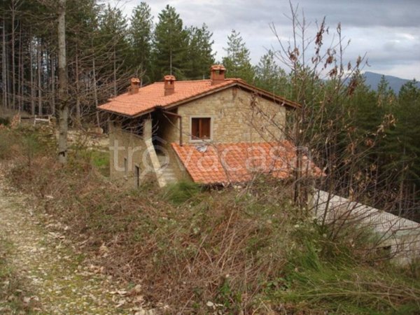 casa indipendente in vendita a Bibbiena in zona Campi