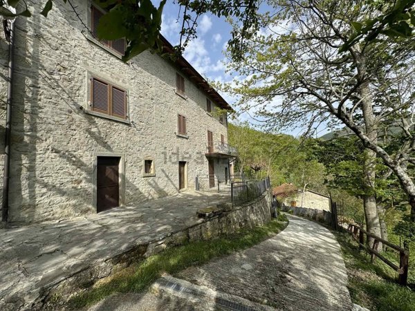 pentavano in vendita a Bibbiena in zona Serravalle