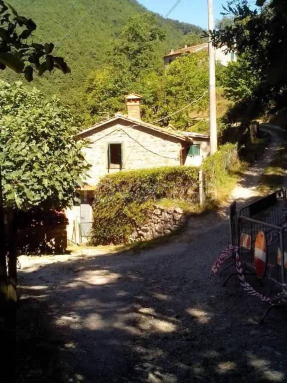 casa indipendente in vendita a Bibbiena