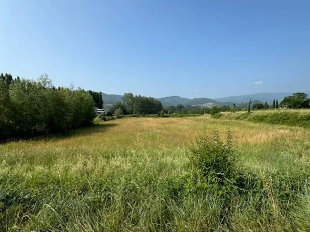terreno agricolo in vendita a Bibbiena