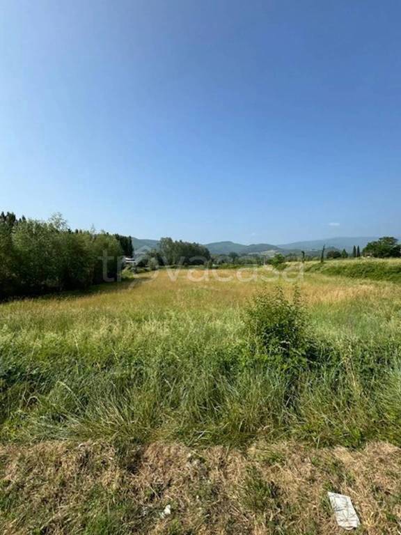 terreno agricolo in vendita a Bibbiena