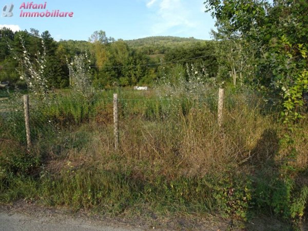terreno agricolo in vendita a Bibbiena in zona Marciano