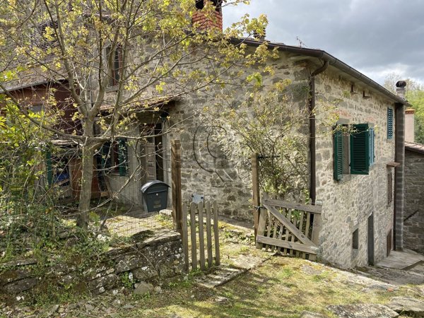 esavano in vendita a Bibbiena in zona Serravalle