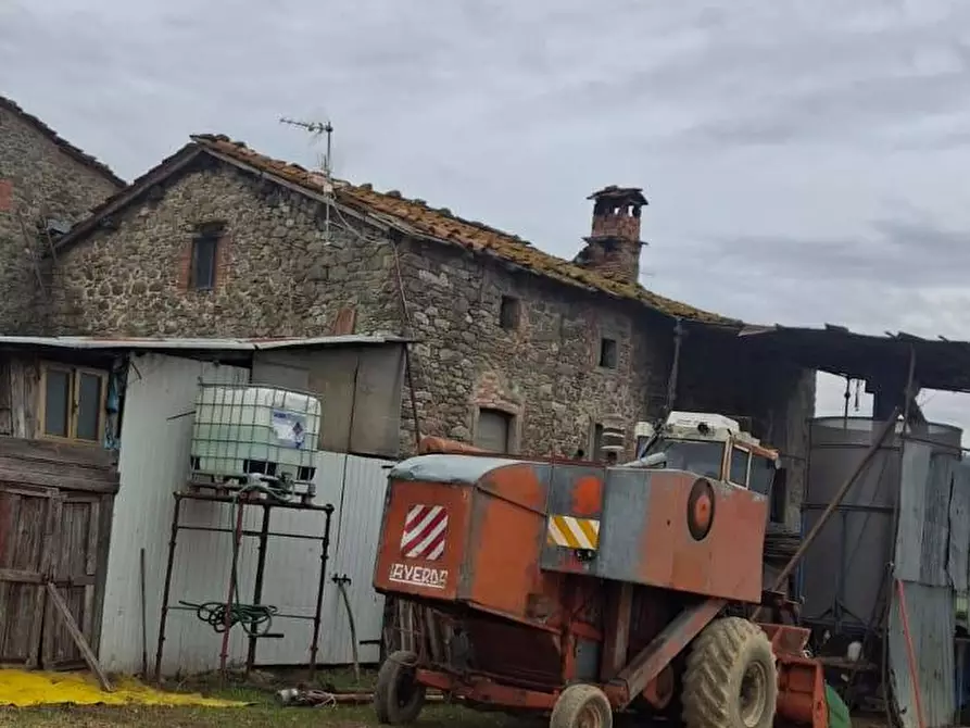 azienda agricola in vendita a Bibbiena