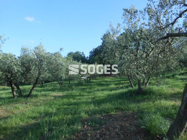 appartamento in vendita a Bucine in zona San Pancrazio