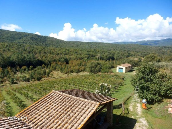 casa indipendente in vendita a Bucine