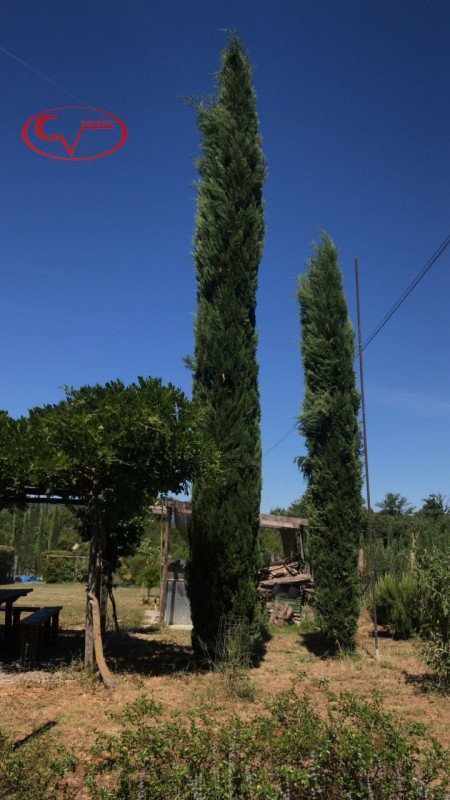 casa indipendente in vendita a Bucine