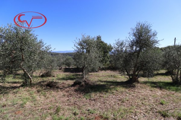 casa indipendente in vendita a Bucine