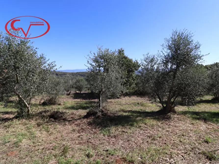 casa indipendente in vendita a Bucine in zona Duddova