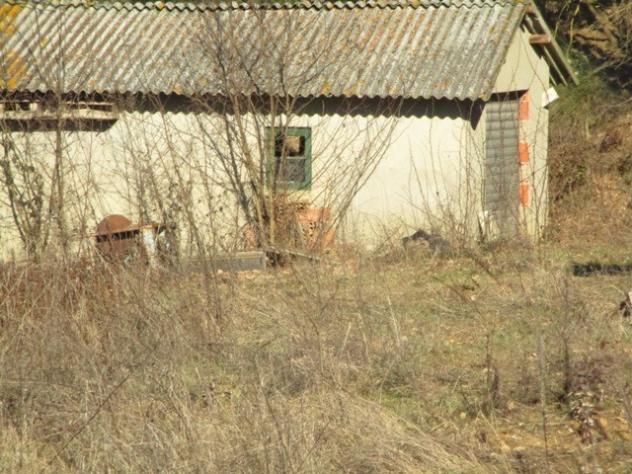 terreno agricolo in vendita a Bucine