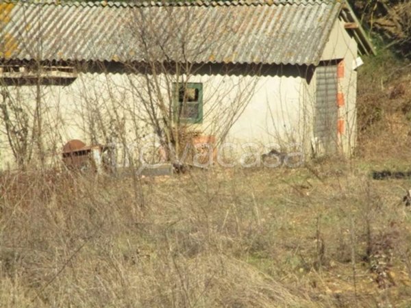 terreno agricolo in vendita a Bucine in zona Pietraviva