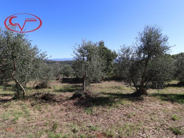 casa indipendente in vendita a Bucine in zona Duddova