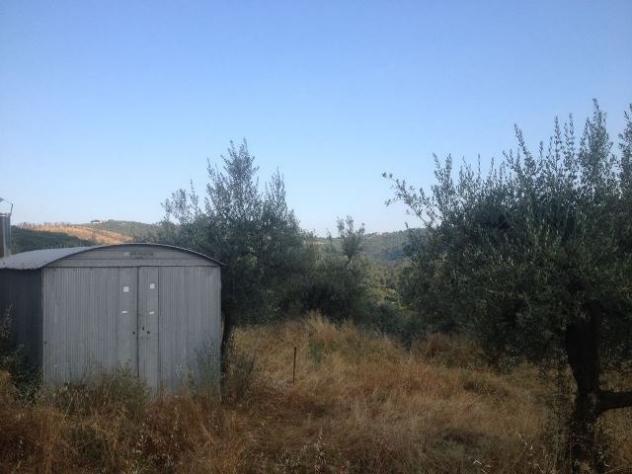 terreno agricolo in vendita a Bucine