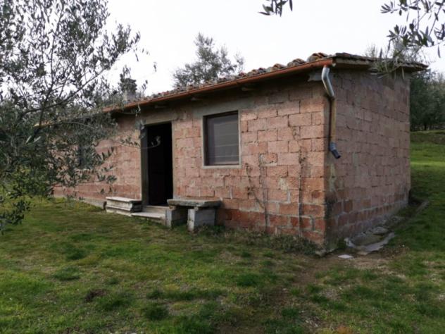 terreno agricolo in vendita a Bucine