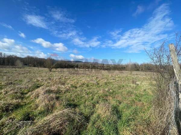terreno agricolo in vendita a Bucine in zona Pogi