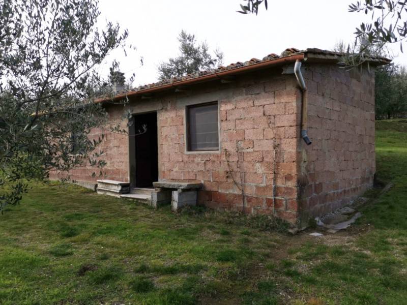 terreno agricolo in vendita a Bucine