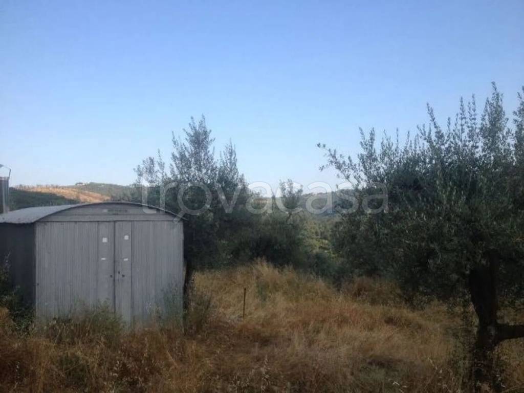 terreno agricolo in vendita a Bucine