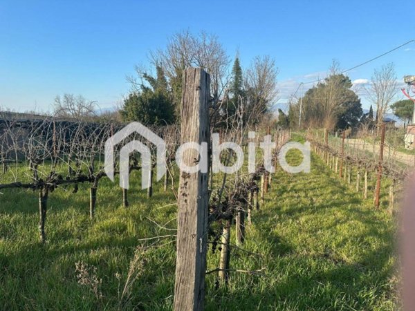 terreno agricolo in vendita a Bucine