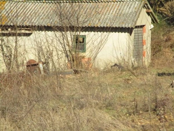 terreno agricolo in vendita a Bucine in zona Pietraviva