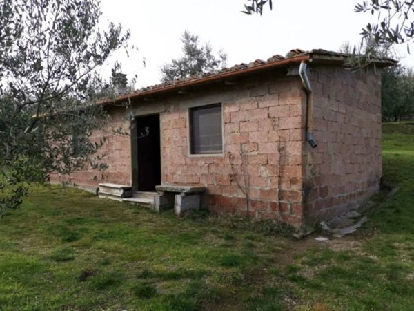 terreno agricolo in vendita a Bucine in zona Badia Agnano