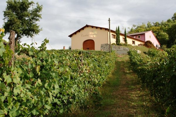 appartamento in vendita a Bucine