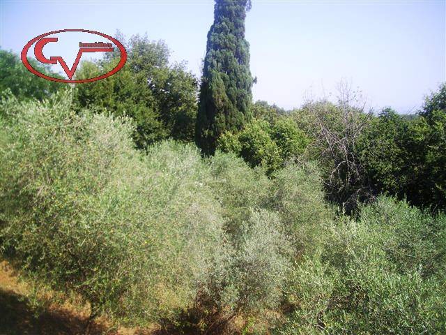 locale di sgombero in vendita a Bucine in zona San Leolino