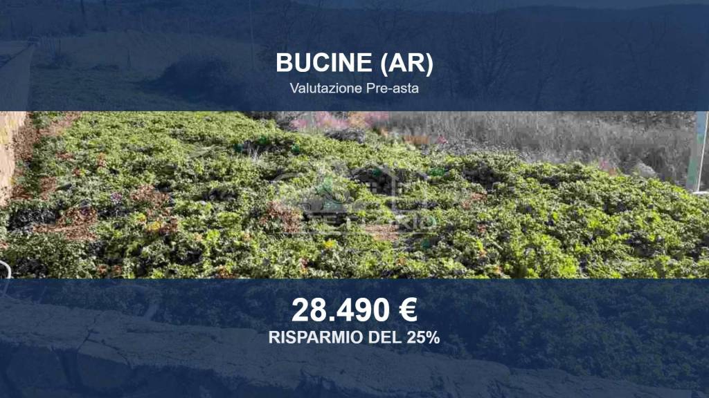 terreno agricolo in vendita a Bucine in zona Ambra