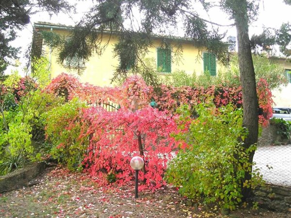 villa in vendita a Bucine