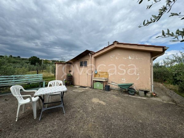 terreno agricolo in vendita a Capolona