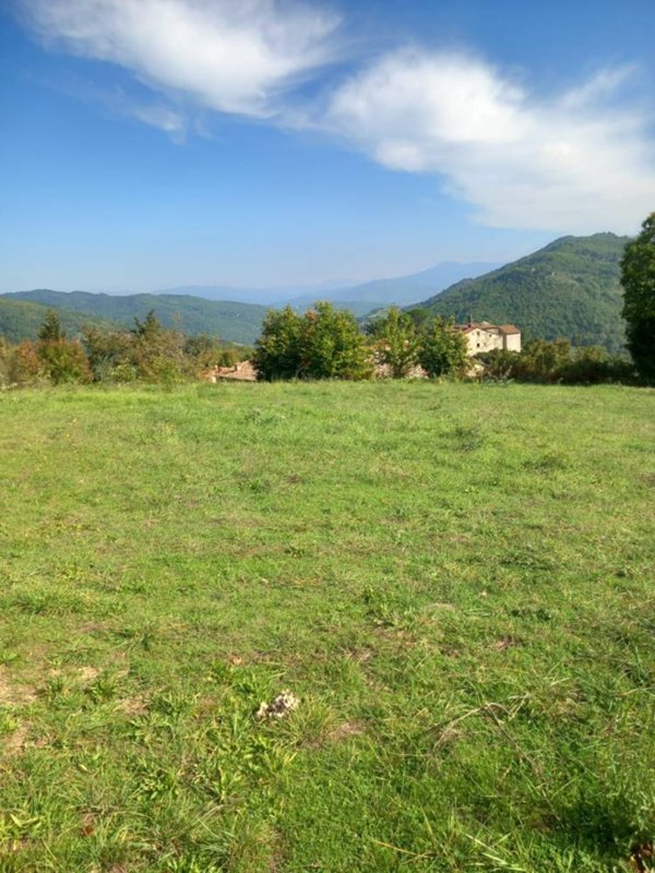 terreno edificabile in vendita a Capolona