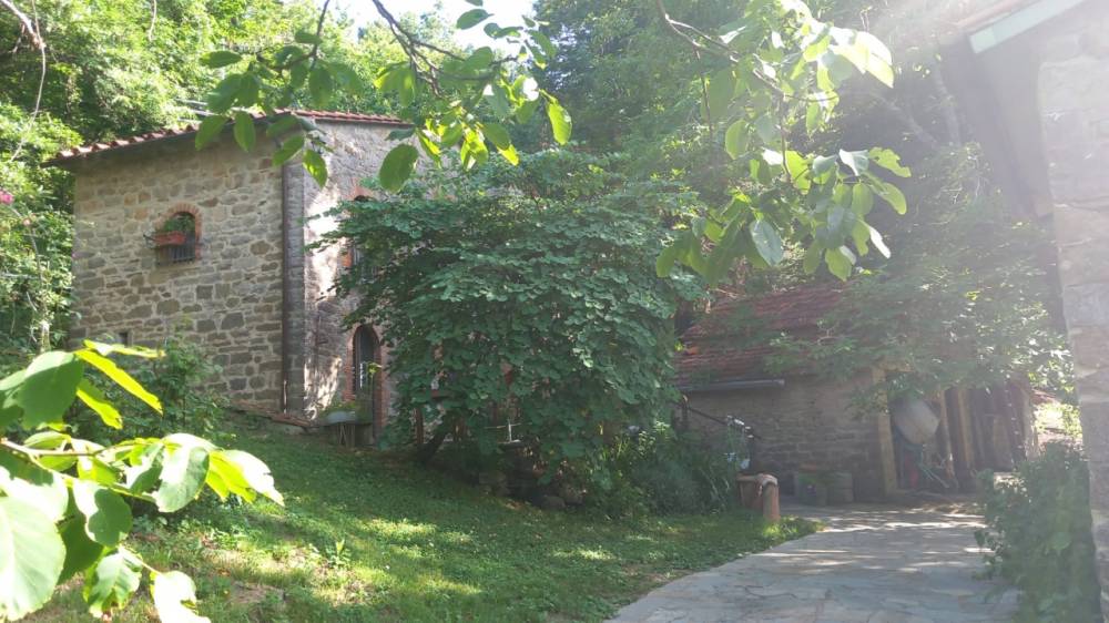 rudere in vendita a Capolona
