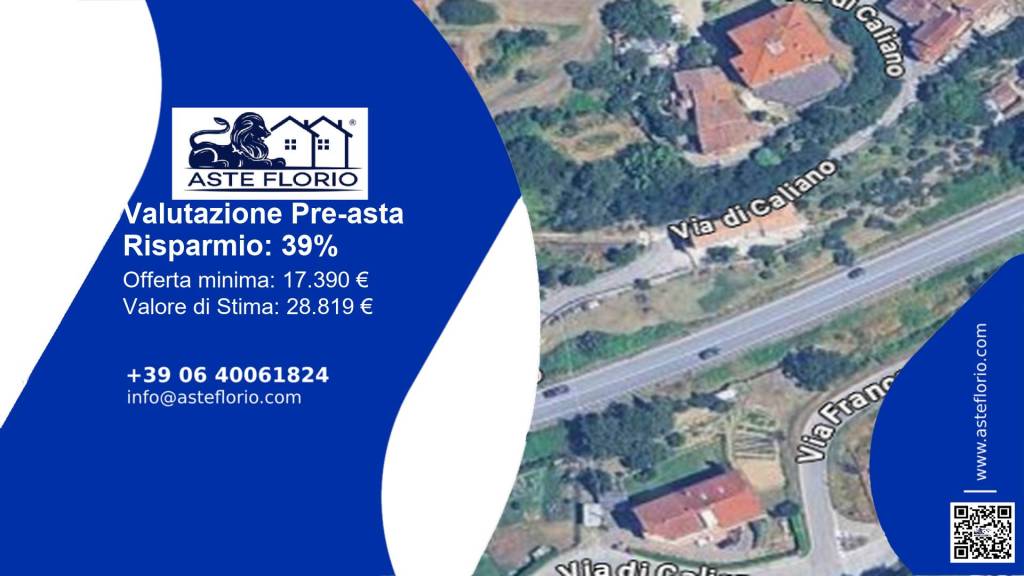 terreno agricolo in vendita a Capolona