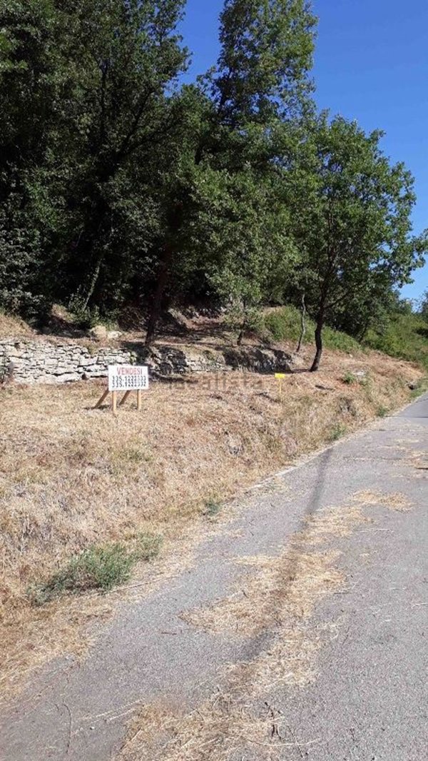 terreno agricolo in vendita a Capolona in zona San Martino Sopr'Arno