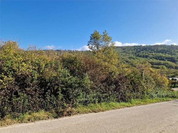 casa indipendente in vendita a Capolona